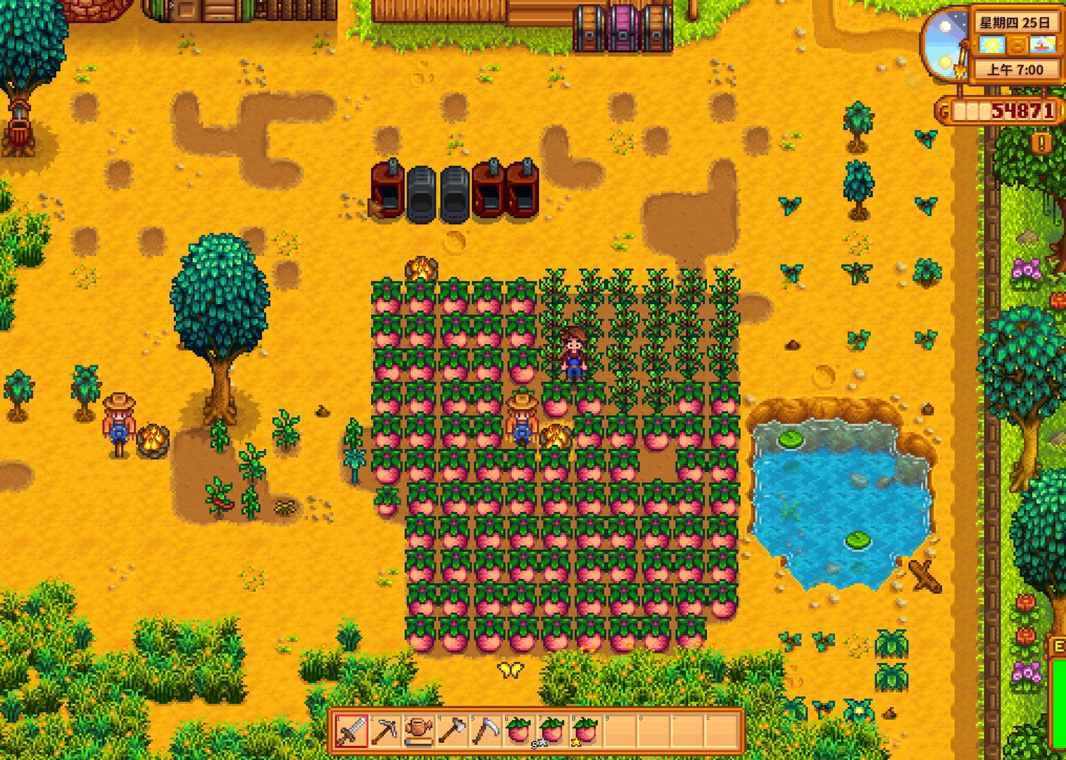 CS2 完整版 截图13